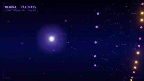 Neural pathways branching axon propagation Stock Footage 339999014