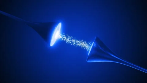 Neural Pathways Transmitting Signals Through Synapses Stock Footage 293335614