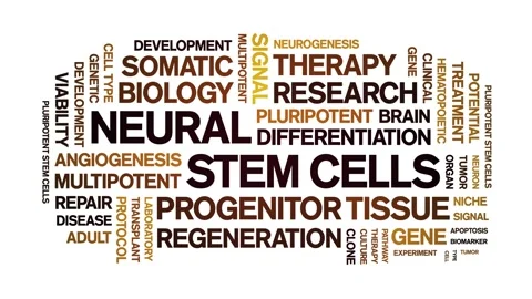 Neural Stem Cells animated word cloud,animation typography seamless loop. Stock Footage 327595458