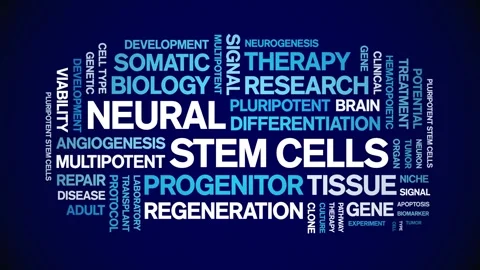 Neural Stem Cells animated word cloud,animation typography seamless loop. Stock Footage 327596203