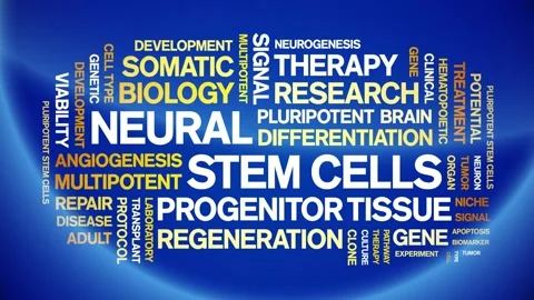 Neural Stem Cells animated word cloud,animation typography seamless loop. 스톡 동영상 327599252