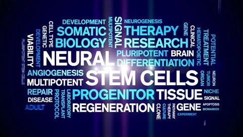 Neural Stem Cells animated word cloud,animation typography seamless loop. Stock-Footage 327638507