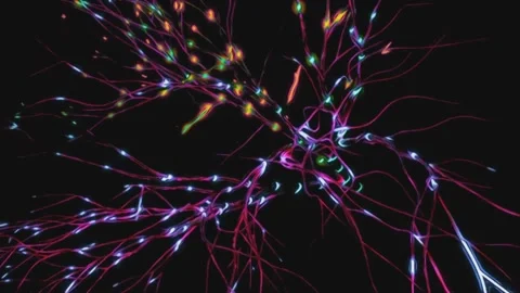 Neural Synapse Brain Activity Animation with Neurons and Electric Signals Stock-Footage 333367336