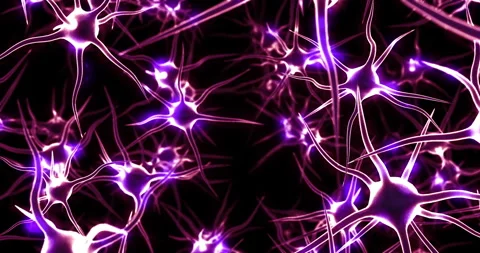 Neural System Activity Inside Digital Human Brain. Stock Footage 321813167