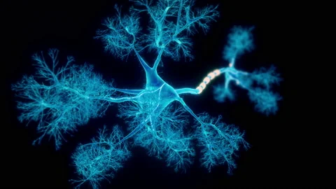 Neural System Hologram Stock Footage 237707493