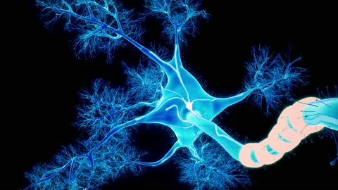 Neural System Hologram Stock Footage 237708064