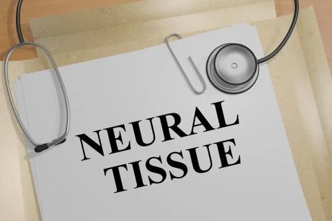 Neural Tissue - anatomical concept Stockillustratie