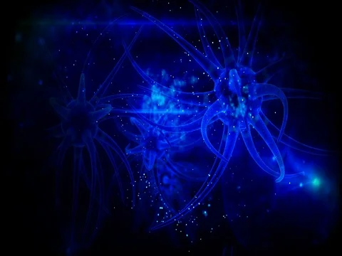 Neural transmission. brain cell Stock Footage 81970795