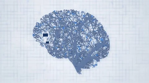 Neural Tree Blue Data Network White Loop Stock-Footage 343256532