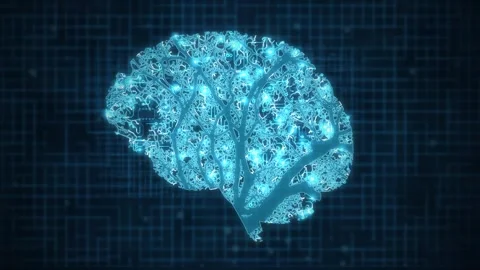 Neural Tree Branching Data Network Loop Stock Footage 343243267