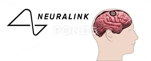 Neuralink, Elon Musk neuralink ~ Clip Art #151172631