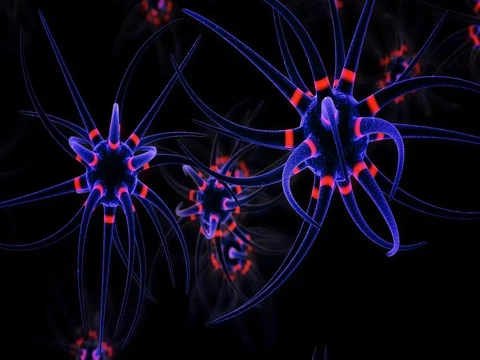 Neurodegenerative diseases Video stock 77416169
