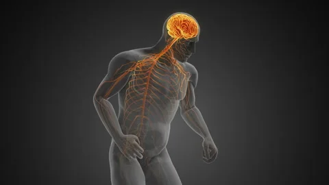 Neurodegenerative Disorder with Motor Dysfunction or Parkinson's disease Vídeos de archivo 282663343