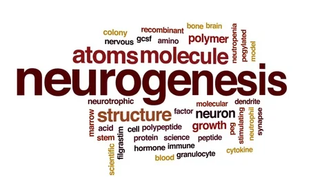 Neurogenesis animated word cloud, text design animation. Stock Footage 80933015