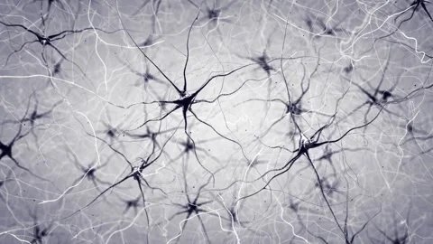 Neurogenesis Video stock 332492529