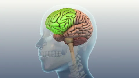 Neurological Disorder Affecting Muscle Coordination Vídeos de archivo 324800995