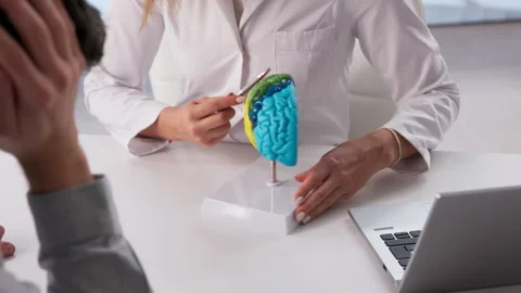 Neurologist Explains Brain Model Stock Footage 332501523