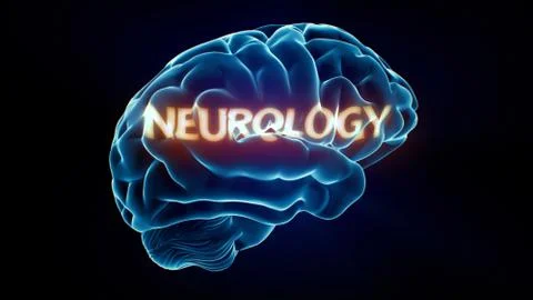 Neurology xray brain イラスト素材