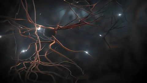 Neuron and synapses Illustrazione stock