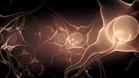 Neuron and synapses medical illustration. Stock Illustration
