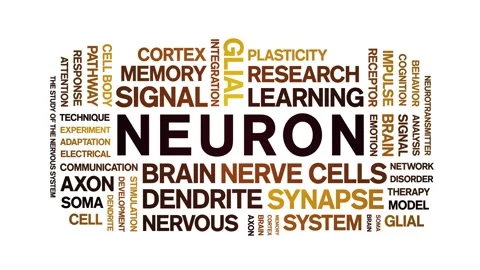 Neuron animated word cloud,animation tag kinetic typography seamless loop. Stock Footage 325038203