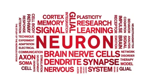 Neuron animated word cloud,animation tag kinetic typography seamless loop. Stock Footage 325038235
