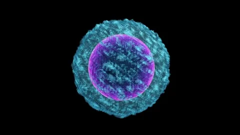 Neuron Brain Cell. 3D render loop animation with transparency Stock Footage 72132687