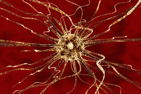 Neuron, brain cell Stock Illustration