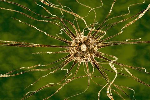 Neuron, brain cell Illustrazione stock