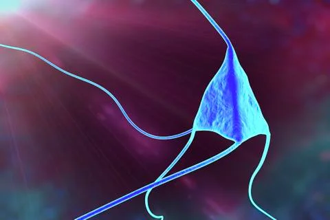 Neuron, brain cell Stock Illustration