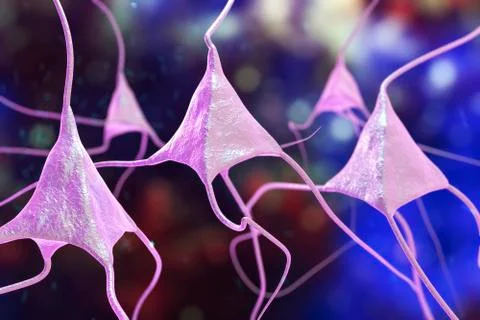 Neuron, brain cell Stock Illustration