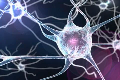 Neuron, brain cell Stock Illustration