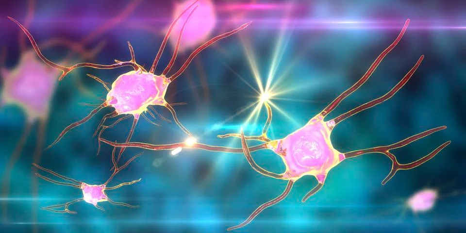 Neuron, brain cell Stock Illustration