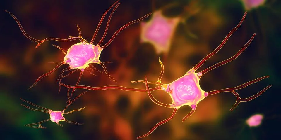 Neuron, brain cell Illustrazione stock