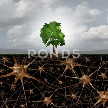 Neuron Brain Connection Stock Illustration