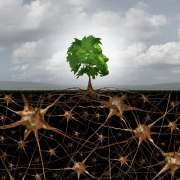 Neuron Brain Connection Stock Illustration