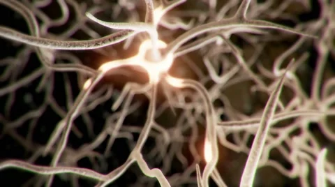 Neuron Brain Stock Footage