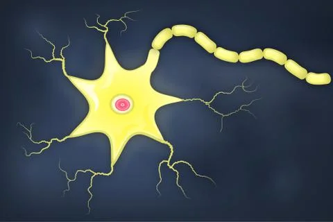 Neuron cell with axon illustration Stock Illustration