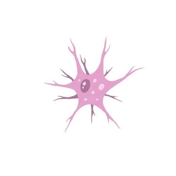 Neuron cell. Brain activity and dendrites Stock Illustration