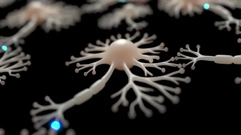 Neuron cell brain network synapse system Stock Footage 338351583