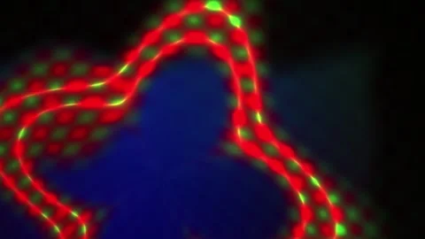 Neuron cell connections in brain. Stock Footage 337489949