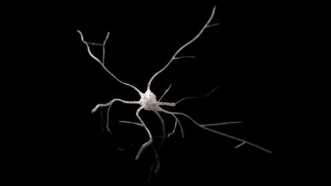 Neuron cell Stock Illustration