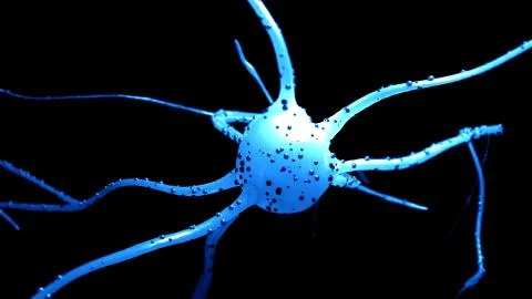 Neuron cell Stock Illustration