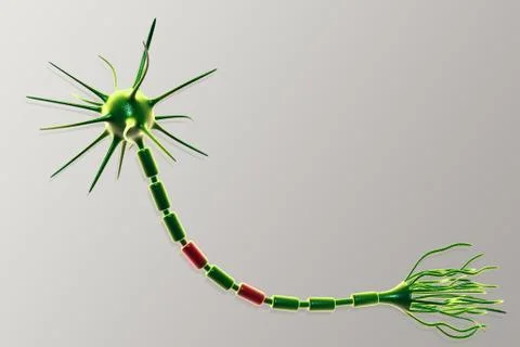 Neuron cell Illustrazione stock