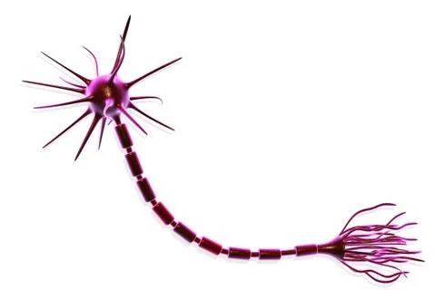 Neuron cell Illustrazione stock