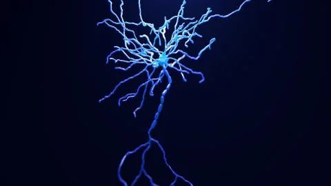Neuron cell inside the brain Stock Illustration