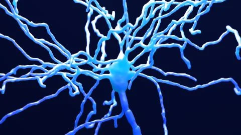 Neuron cell inside the brain Stock Illustration