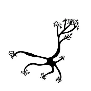 Neuron cell isolated. Brain silhouette cell with axones and dendrites. Vector Stock Illustration
