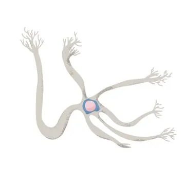 Neuron cell with long axons. Vector illustartion. Stock Illustration
