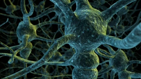 Neuron cell network flight through Stock Footage 91387
